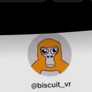 biscuit_vr dis for faking cancer and stealing peoples content