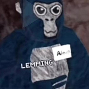 This is a dis to lemming the creator of gorilla tag why you have to change city then you changed clouds no one likes it 