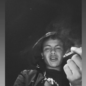 freestyle N4 