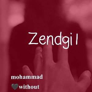 zendgi1🖤✨