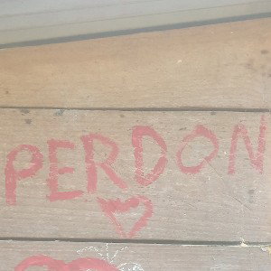 perro
