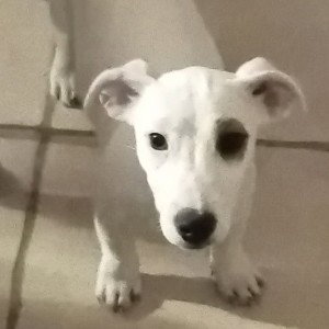 JET❤️