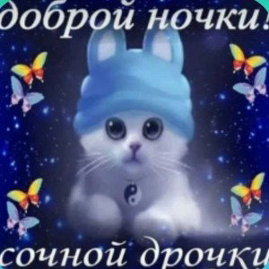таракан