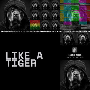 Like A Tiger