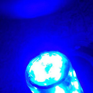 Blue Light