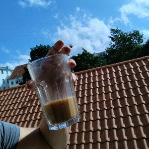 Bürgergeld freestyle