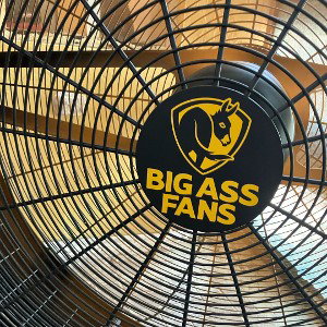 STOP FANNING OUT ONG 2 