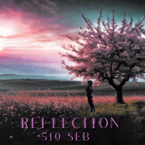 Reflection 