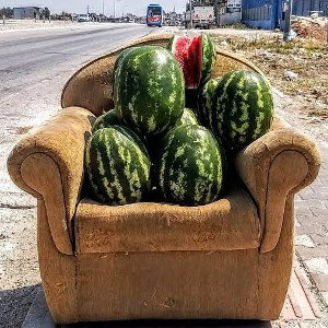 KARPUZ KAVUN 