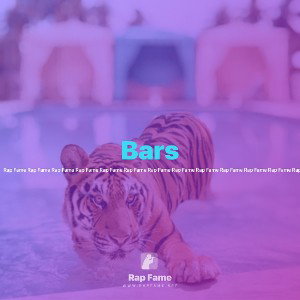 Bars