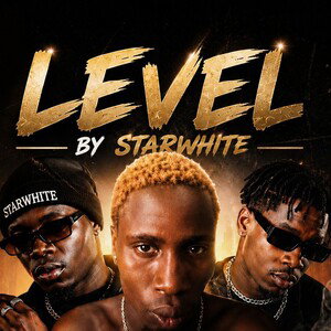 level 