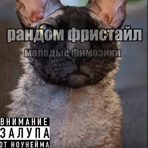 МОЛОДЫЕ ФИМОЗИКИ-РАНДОМ ФРИСТАЙЛ ИЗ ЧЕРНОВИКА 2