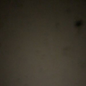 intoxicated ryhmez 