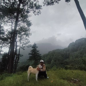 bal vyo