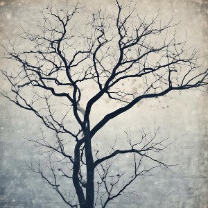 Gray Days