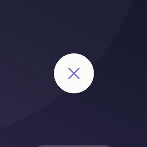 WHITE CROSS