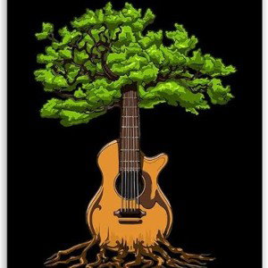 SAVAGE GUITAR