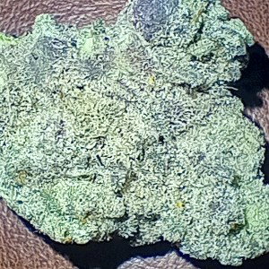 That Dank