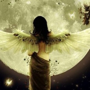 hope to fly 