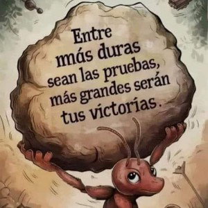 despedida 
