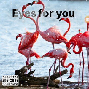 eyes for you 