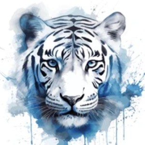 tigre blanc 🤍
