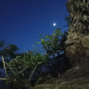 ΣΚΡΡΡΡΡΡΡ