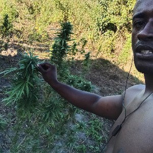 #Ganja pass