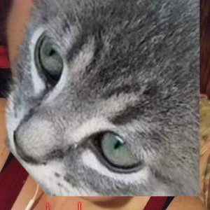 Well hell kitty 
