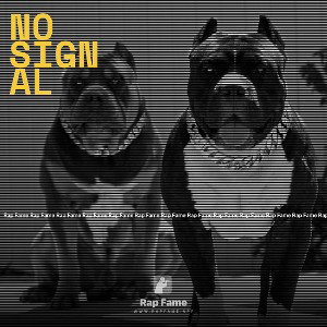 no signal 