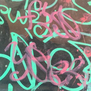 proktos?