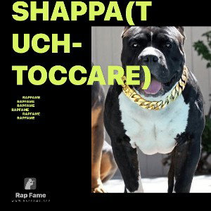 Shappa(tuch-toccare)