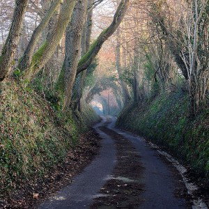 HOLLOWAY