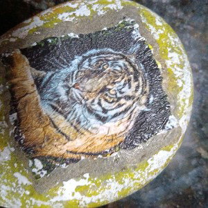 Chill Said the Tiger