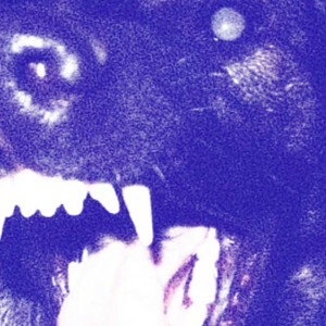 west coast and east coast 🐕‍🦺 (Slowed + Reverb)