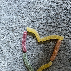Freundschaft 