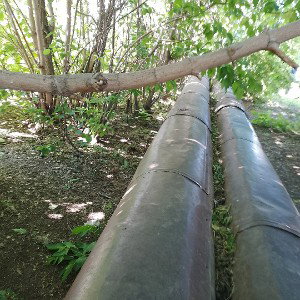 пока 