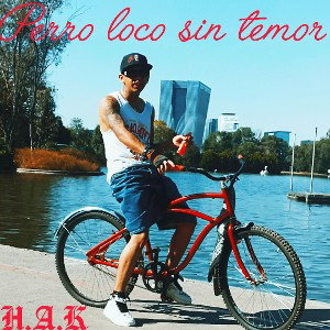 PERRO LOCO 