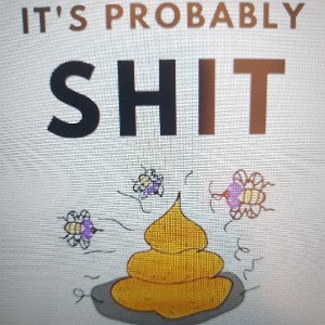 IT'S PROBABLY SHIT