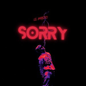LIL Queso: SORRY 