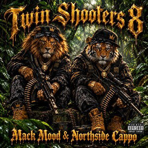 Twin Shooters 8