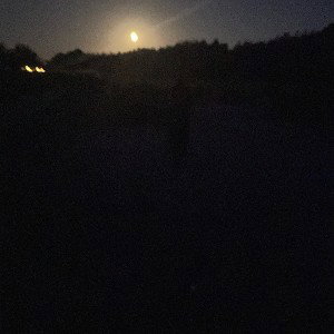 sag mir ohne Kopfhörer(Hörprobe)