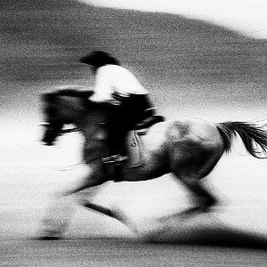 Horse power (01:17:43)