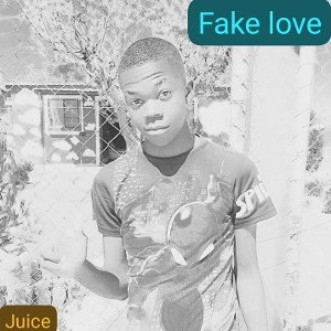 juice (fake love)