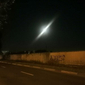 Джунгли
