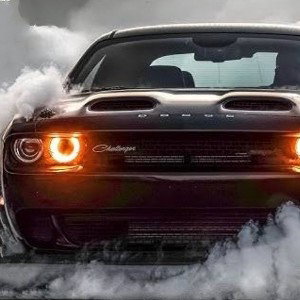 Dodge X