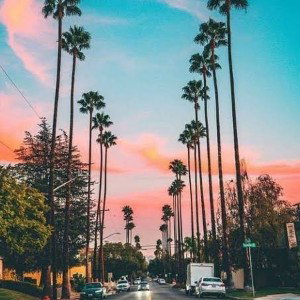California Beat 