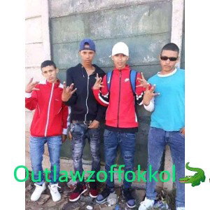 freestyle 