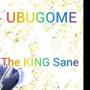 Nzibe_-the_king_sane__visualizer__256k_ _1_