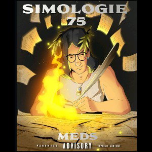 MEDS - simologie 75 (clean)